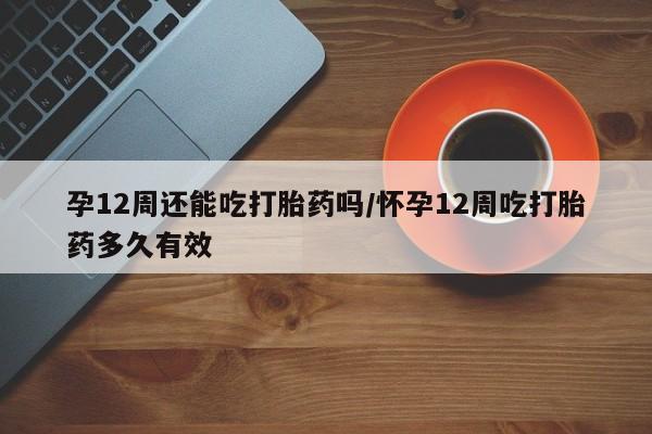 卖正品米索前列醇片微信孕12周还能吃打胎药吗/怀孕12周吃打胎药多久有效