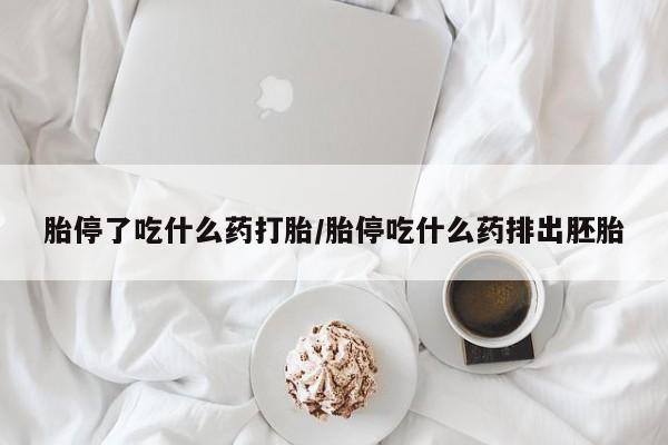 卖正品米索前列醇片微信胎停了吃什么药打胎/胎停吃什么药排出胚胎