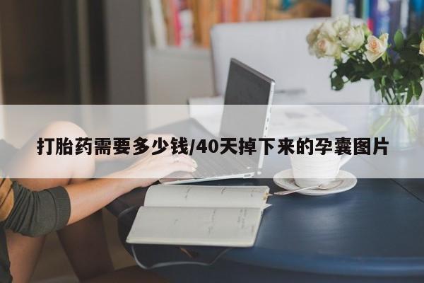 卖正品米索前列醇片微信打胎药需要多少钱/40天掉下来的孕囊图片