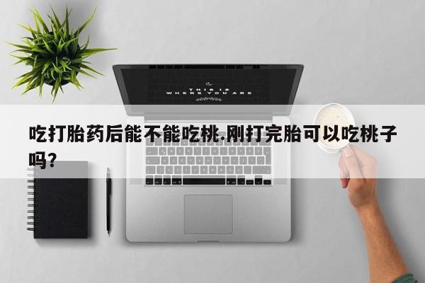 卖正品米索前列醇片微信吃打胎药后能不能吃桃.刚打完胎可以吃桃子吗？
